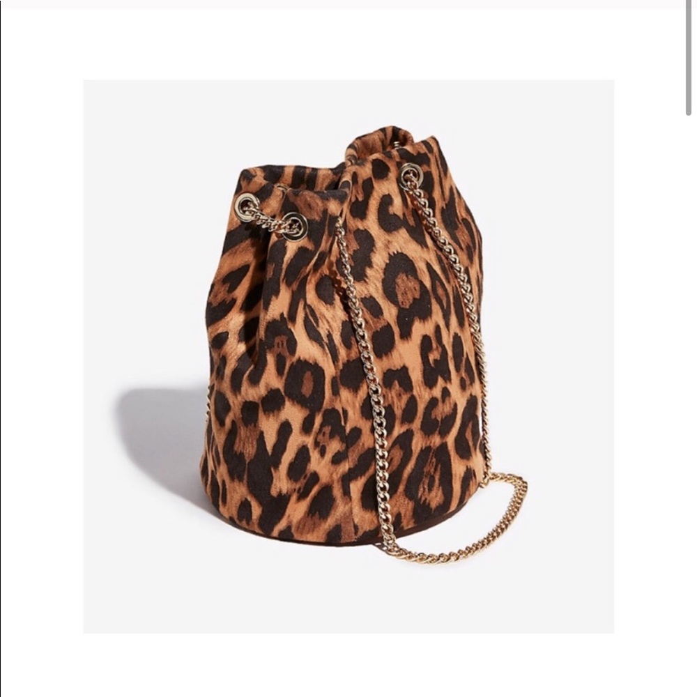 Express Mini Leopard Handbag - Picture 2 of 6
